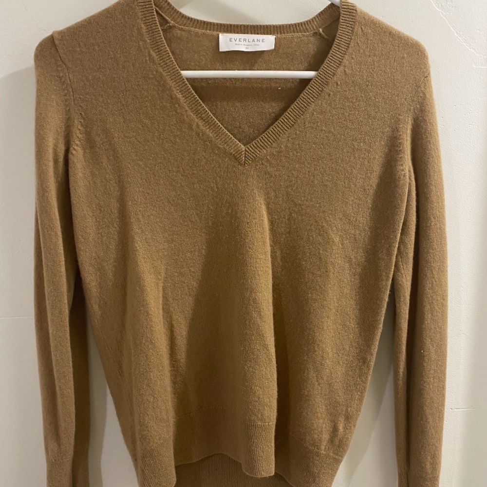 Everlane Cashmere V-Neck Sweater